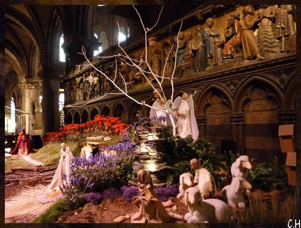 Notre Dame 2011 C.reche TER