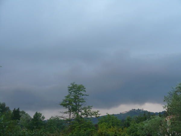 P1000696.jpg