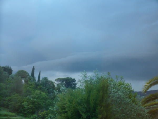 P1000698.jpg