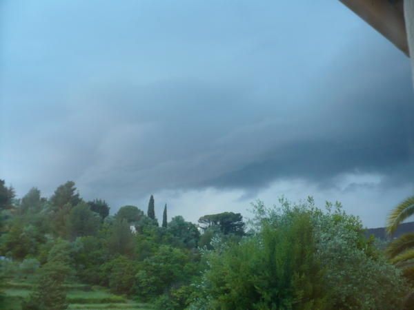 P1000700.jpg