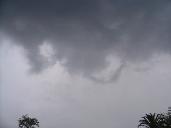 P1000710.jpg