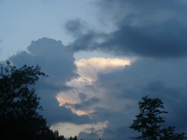P1000723.jpg