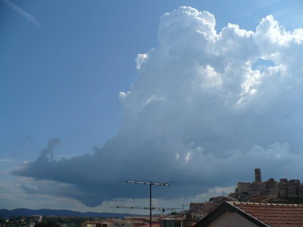 P1000764.jpg