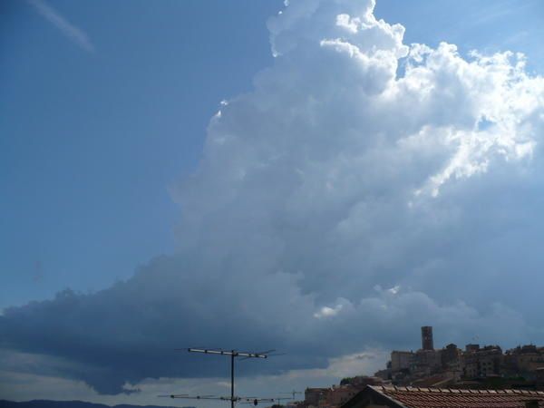 P1000765.jpg