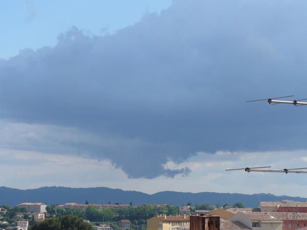 P1000766.jpg