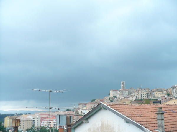 P1000814.jpg