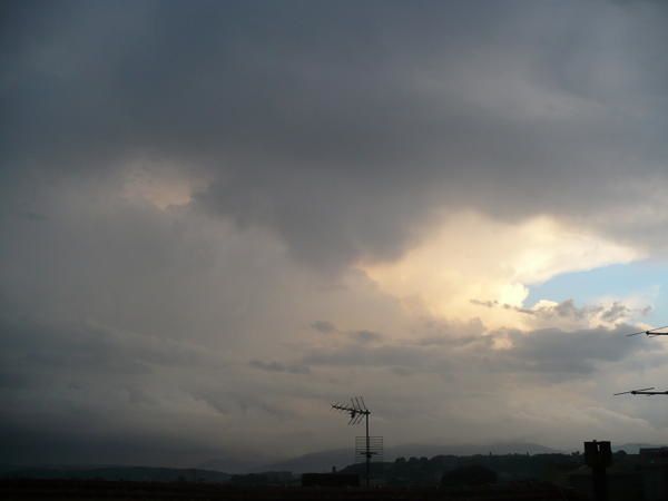 P1000824.jpg