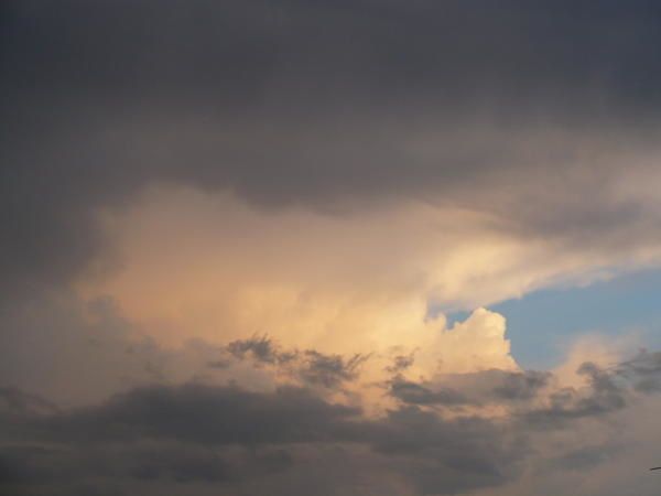 P1000828.jpg