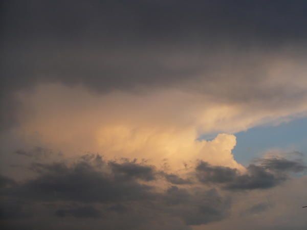 P1000829.jpg