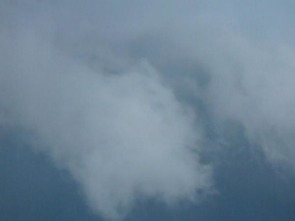 P1000938.jpg