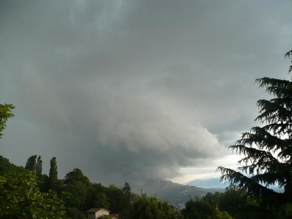 P1000941.jpg