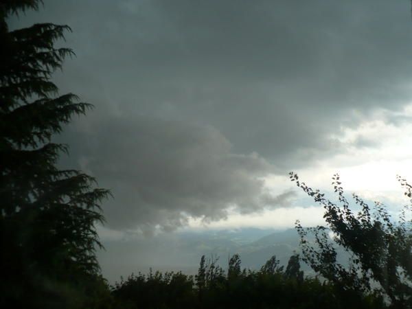 P1000944.jpg