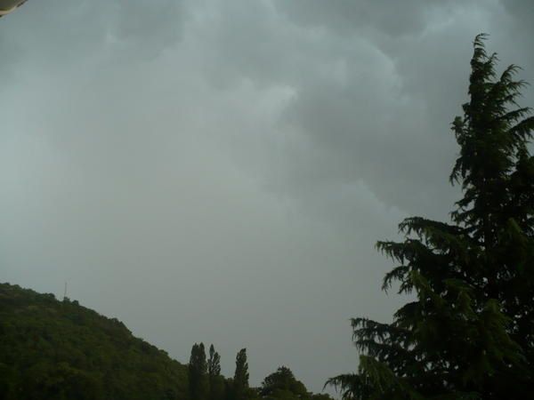 P1000946.jpg