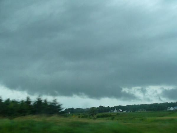 P1010481.jpg
