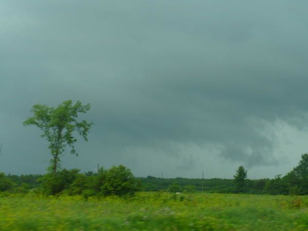 P1010483.jpg