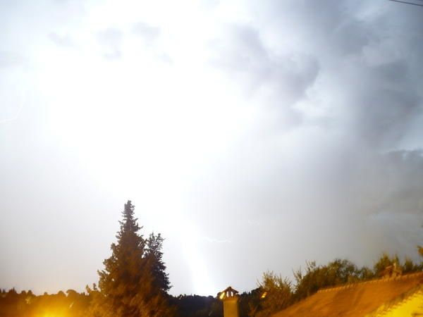 P1020318.jpg