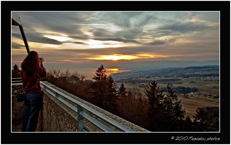 paysages-1595.jpg