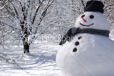 istockphoto_6284593-perfect-snowman-at-home.jpg