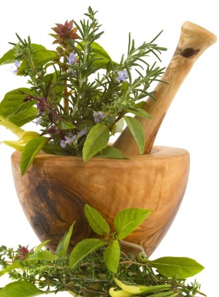 Phytotherapie-plantes-medicinales-jpg