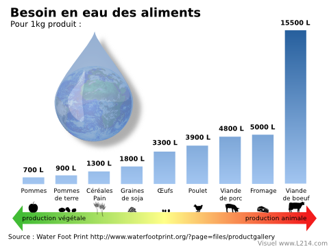 Besoin en eau des aliments Besoin en eau des aliments