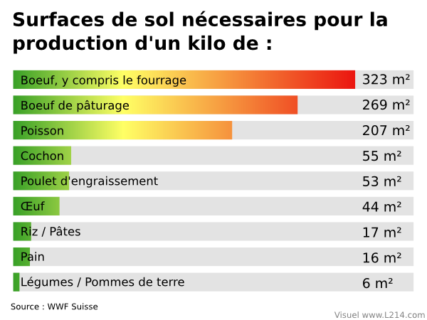 Surface cultivable par aliments, un kilo de boeuf, etc. Surface cultivable par aliments