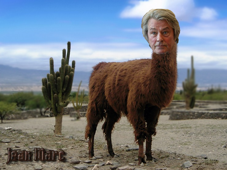 le-lama-delon.png