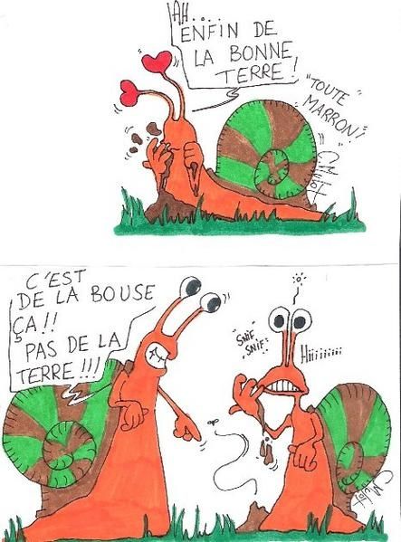 bouse chatrooms Voir bouse, merde ex catwoman est une grosse daube objet contondant servant a faire regner l'ordre et la justice sur les chatrooms tuerie (fr massacre. bouse chatrooms Voir bouse, merde ex catwoman est une grosse daube objet contondant servant a faire regner l'ordre et la justice sur les chatrooms tuerie (fr massacre.