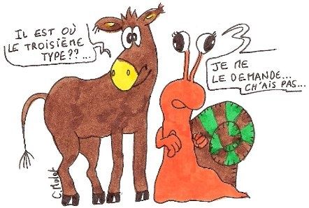 rencontre en catalogne
