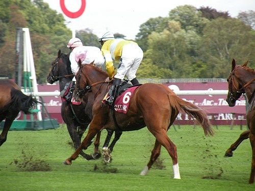 Arc 2010 + prix de Diane 2011.. 2010-arc-DSCN4959