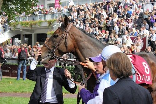 Arc 2010 + prix de Diane 2011.. 2010-arc-c5-Goldikova
