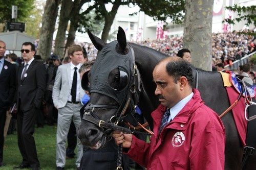 Arc 2010 + prix de Diane 2011.. 2010Arc-Cavalryman