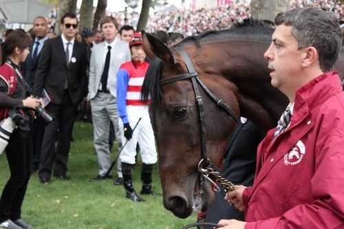 Arc 2010 + prix de Diane 2011.. 2010Arc-Fame-and-Glory