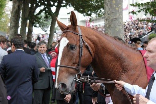 Arc 2010 + prix de Diane 2011.. 2010Arc-Lope-de-Vega