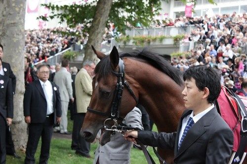 Arc 2010 + prix de Diane 2011.. 2010Arc-Nakyama-Festa