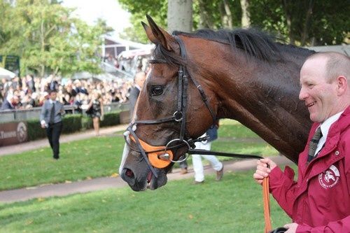 Arc 2010 + prix de Diane 2011.. 2010Arc-Workforce