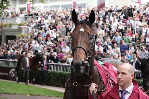 Arc 2010 + prix de Diane 2011.. 2010Arc-Youmzain