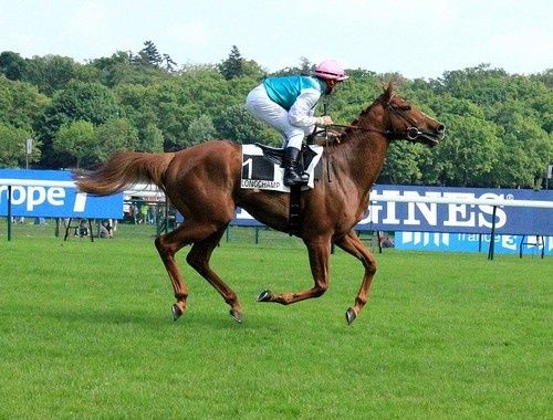 Arc 2010 + prix de Diane 2011.. 20110424Fontainebleau-Glaswegian