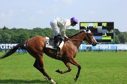 Arc 2010 + prix de Diane 2011.. 20110424Grotte-Mixed-Intention