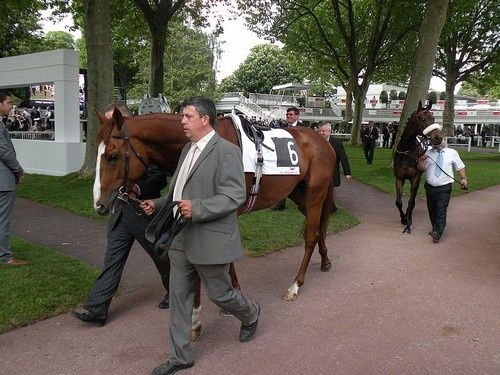 Arc 2010 + prix de Diane 2011.. 20110430C5-Cape-Blanco