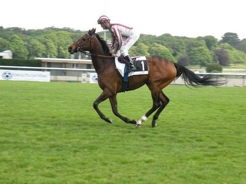 Arc 2010 + prix de Diane 2011.. 20110430C5-Cirrus-des-Aigles