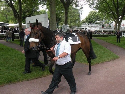 Arc 2010 + prix de Diane 2011.. 20110430C5-Sarafina
