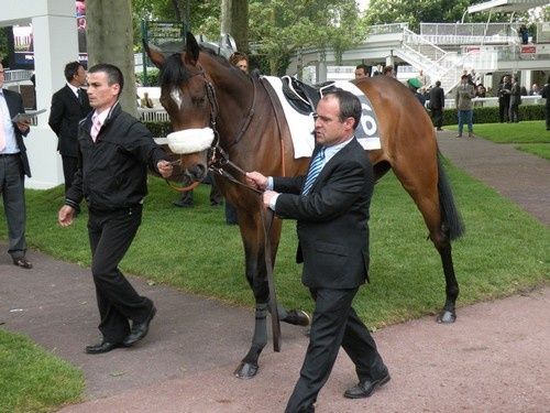 Arc 2010 + prix de Diane 2011.. 20110430C6-Finding-Neverland