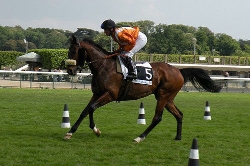Arc 2010 + prix de Diane 2011.. 20110430Twin-Prince