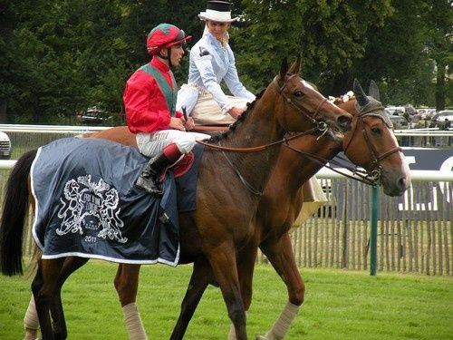Arc 2010 + prix de Diane 2011.. 20110612c3-rb-GoldenLilac