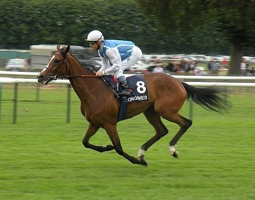 Arc 2010 + prix de Diane 2011.. 20110612c3Galikova