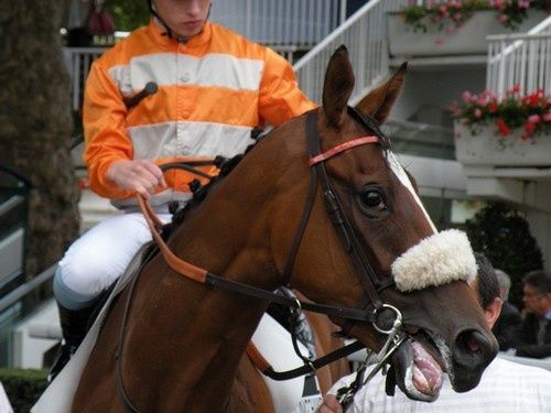 Arc 2010 + prix de Diane 2011.. 20110702c2-Zanet