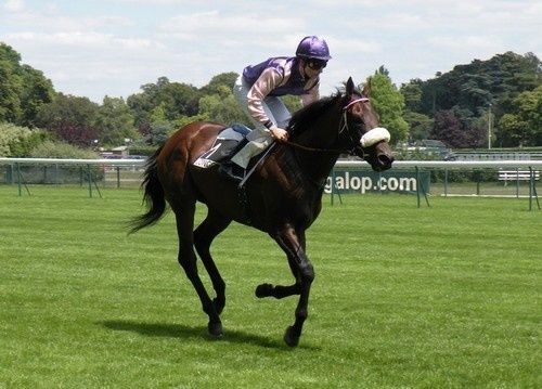 Arc 2010 + prix de Diane 2011.. 20110702c3-AbsolutlyYes2