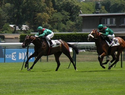 Arc 2010 + prix de Diane 2011.. 20110702c3-Ziyarid-Valiyr