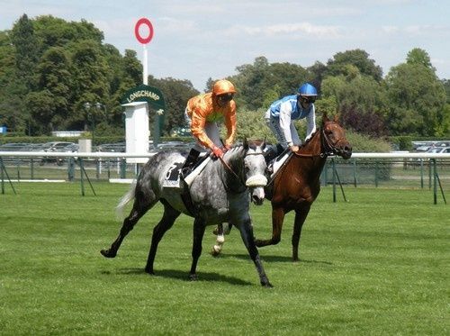 Arc 2010 + prix de Diane 2011.. 20110702c5-w-Marchandd-Or