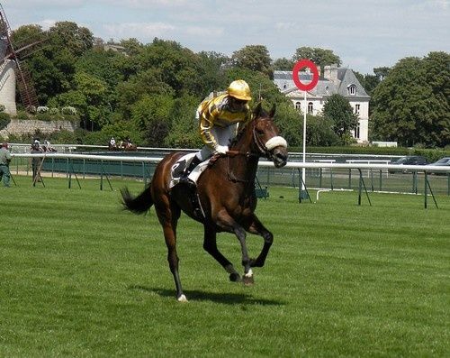 Arc 2010 + prix de Diane 2011.. 20110702c5-w-ThaiHaku